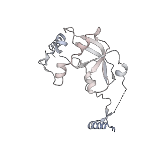 11393_6zsc_A0_v2-0
Human mitochondrial ribosome in complex with E-site tRNA
