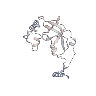 11393_6zsc_A0_v3-0
Human mitochondrial ribosome in complex with E-site tRNA