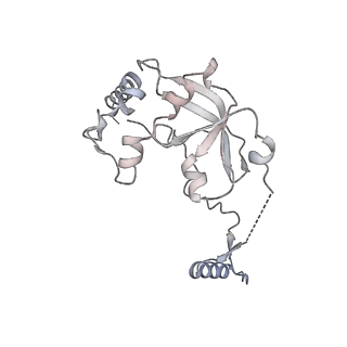 11393_6zsc_A0_v4-0
Human mitochondrial ribosome in complex with E-site tRNA