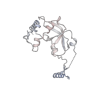 11393_6zsc_A0_v4-1
Human mitochondrial ribosome in complex with E-site tRNA