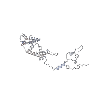 11393_6zsc_A1_v1-0
Human mitochondrial ribosome in complex with E-site tRNA