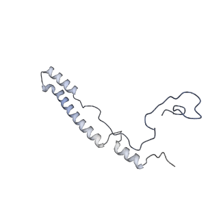 11393_6zsc_A2_v1-0
Human mitochondrial ribosome in complex with E-site tRNA