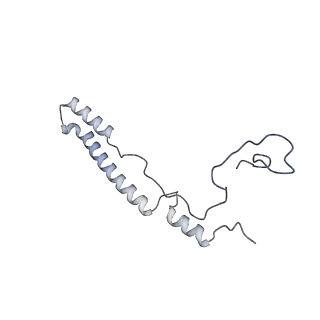 11393_6zsc_A2_v2-0
Human mitochondrial ribosome in complex with E-site tRNA