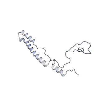 11393_6zsc_A2_v3-0
Human mitochondrial ribosome in complex with E-site tRNA