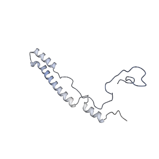11393_6zsc_A2_v4-1
Human mitochondrial ribosome in complex with E-site tRNA