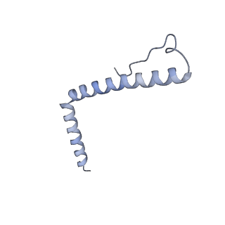 11393_6zsc_A3_v4-1
Human mitochondrial ribosome in complex with E-site tRNA