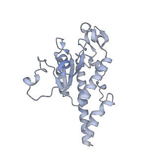 11393_6zsc_AB_v1-0
Human mitochondrial ribosome in complex with E-site tRNA