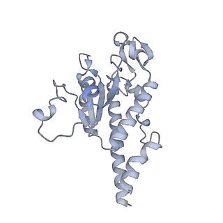 11393_6zsc_AB_v3-0
Human mitochondrial ribosome in complex with E-site tRNA