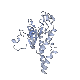 11393_6zsc_AB_v4-1
Human mitochondrial ribosome in complex with E-site tRNA