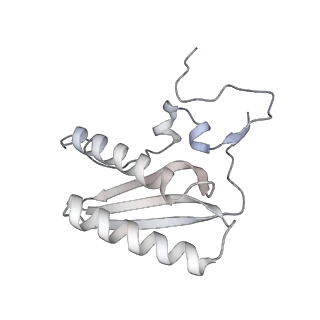11393_6zsc_AC_v1-0
Human mitochondrial ribosome in complex with E-site tRNA