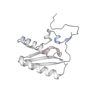 11393_6zsc_AC_v4-1
Human mitochondrial ribosome in complex with E-site tRNA