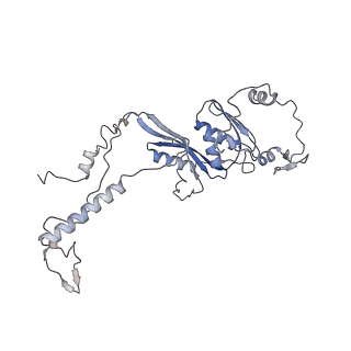 11393_6zsc_AD_v1-0
Human mitochondrial ribosome in complex with E-site tRNA