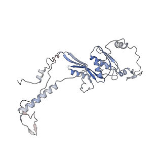 11393_6zsc_AD_v2-0
Human mitochondrial ribosome in complex with E-site tRNA