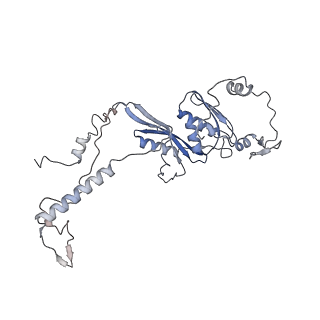 11393_6zsc_AD_v4-1
Human mitochondrial ribosome in complex with E-site tRNA