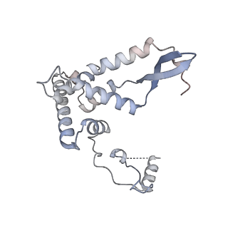 11393_6zsc_AF_v1-0
Human mitochondrial ribosome in complex with E-site tRNA