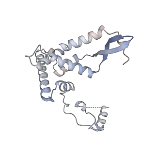 11393_6zsc_AF_v3-0
Human mitochondrial ribosome in complex with E-site tRNA