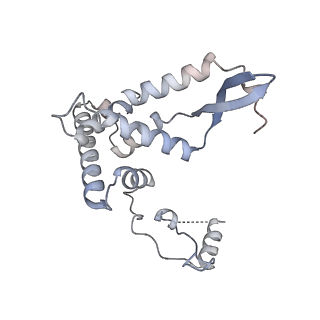 11393_6zsc_AF_v4-0
Human mitochondrial ribosome in complex with E-site tRNA