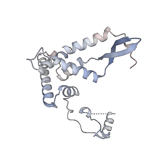 11393_6zsc_AF_v4-1
Human mitochondrial ribosome in complex with E-site tRNA