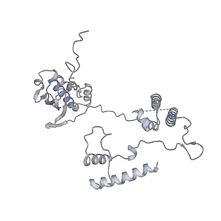 11393_6zsc_AG_v1-0
Human mitochondrial ribosome in complex with E-site tRNA
