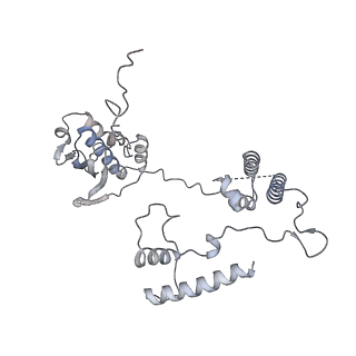 11393_6zsc_AG_v2-0
Human mitochondrial ribosome in complex with E-site tRNA