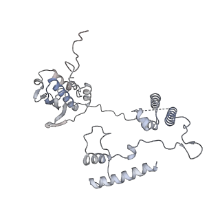 11393_6zsc_AG_v4-1
Human mitochondrial ribosome in complex with E-site tRNA