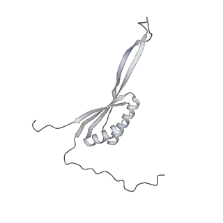 11393_6zsc_AH_v4-1
Human mitochondrial ribosome in complex with E-site tRNA