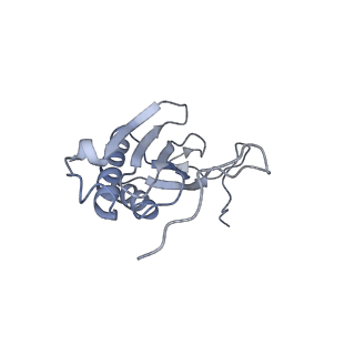 11393_6zsc_AI_v1-0
Human mitochondrial ribosome in complex with E-site tRNA