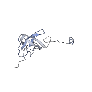 11393_6zsc_AJ_v1-0
Human mitochondrial ribosome in complex with E-site tRNA