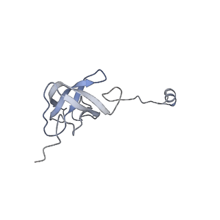 11393_6zsc_AJ_v4-1
Human mitochondrial ribosome in complex with E-site tRNA