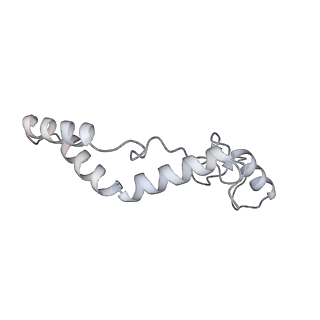 11393_6zsc_AK_v1-0
Human mitochondrial ribosome in complex with E-site tRNA