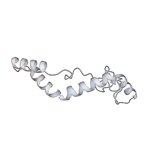 11393_6zsc_AK_v2-0
Human mitochondrial ribosome in complex with E-site tRNA