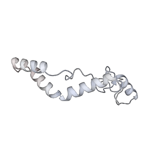 11393_6zsc_AK_v4-1
Human mitochondrial ribosome in complex with E-site tRNA