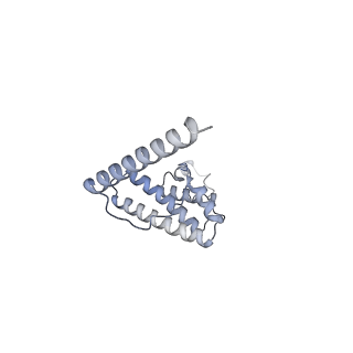 11393_6zsc_AL_v1-0
Human mitochondrial ribosome in complex with E-site tRNA