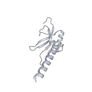 11393_6zsc_AM_v4-1
Human mitochondrial ribosome in complex with E-site tRNA