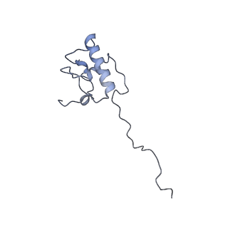 11393_6zsc_AP_v1-0
Human mitochondrial ribosome in complex with E-site tRNA