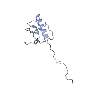 11393_6zsc_AP_v4-1
Human mitochondrial ribosome in complex with E-site tRNA