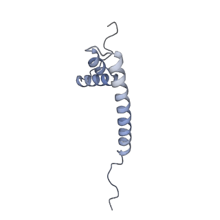 11393_6zsc_AQ_v4-1
Human mitochondrial ribosome in complex with E-site tRNA