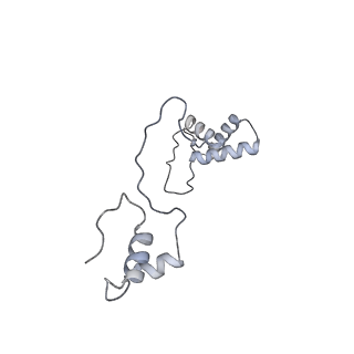 11393_6zsc_AS_v1-0
Human mitochondrial ribosome in complex with E-site tRNA