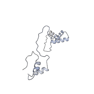 11393_6zsc_AS_v3-0
Human mitochondrial ribosome in complex with E-site tRNA