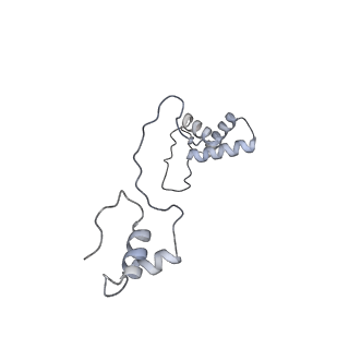 11393_6zsc_AS_v4-1
Human mitochondrial ribosome in complex with E-site tRNA