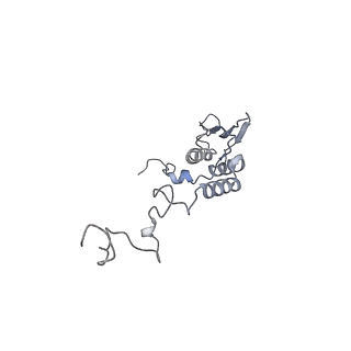 11393_6zsc_AT_v1-0
Human mitochondrial ribosome in complex with E-site tRNA