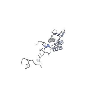 11393_6zsc_AT_v4-1
Human mitochondrial ribosome in complex with E-site tRNA