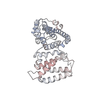 11393_6zsc_AV_v1-0
Human mitochondrial ribosome in complex with E-site tRNA