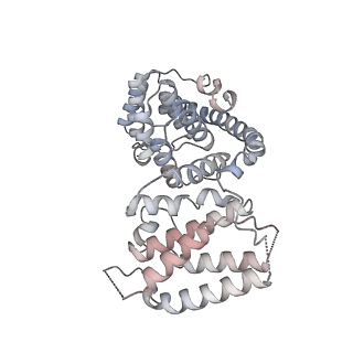 11393_6zsc_AV_v2-0
Human mitochondrial ribosome in complex with E-site tRNA