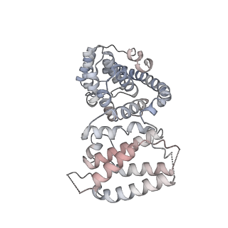 11393_6zsc_AV_v4-0
Human mitochondrial ribosome in complex with E-site tRNA