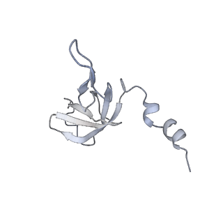 11393_6zsc_AW_v1-0
Human mitochondrial ribosome in complex with E-site tRNA