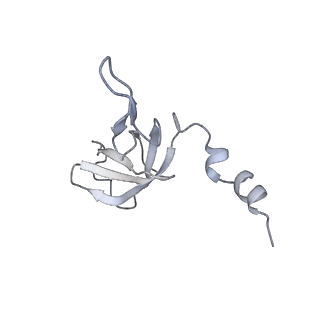 11393_6zsc_AW_v4-1
Human mitochondrial ribosome in complex with E-site tRNA