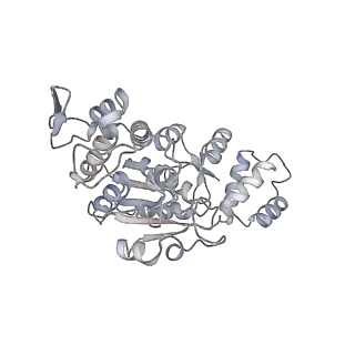 11393_6zsc_AX_v1-0
Human mitochondrial ribosome in complex with E-site tRNA