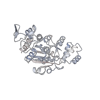 11393_6zsc_AX_v3-0
Human mitochondrial ribosome in complex with E-site tRNA