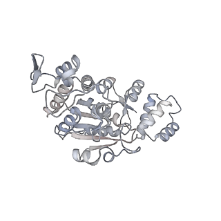 11393_6zsc_AX_v4-0
Human mitochondrial ribosome in complex with E-site tRNA